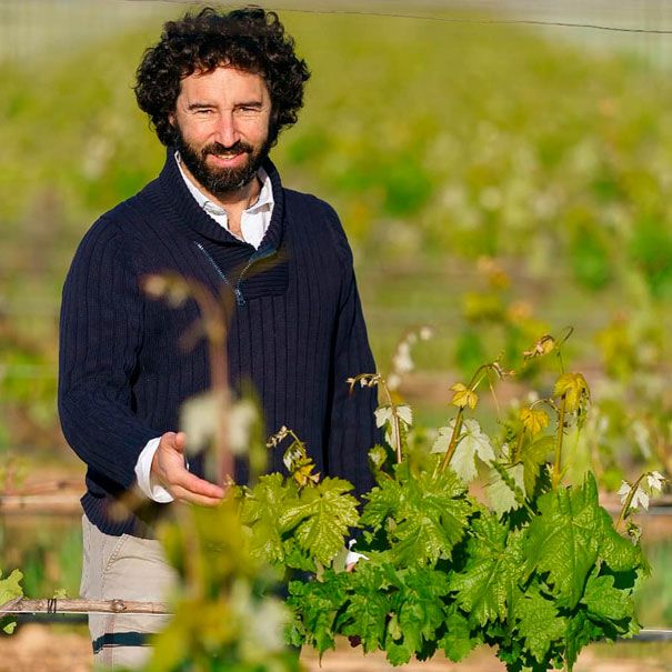 Martín Berdugo